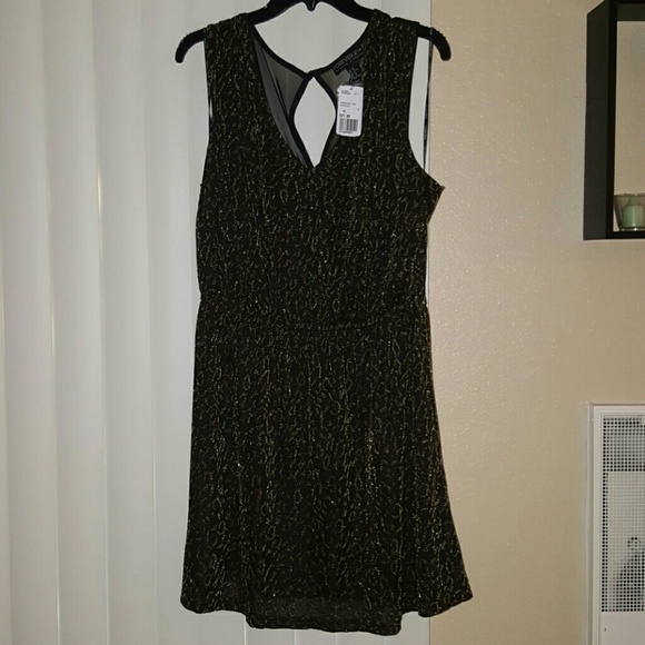 F21 Skater Dress