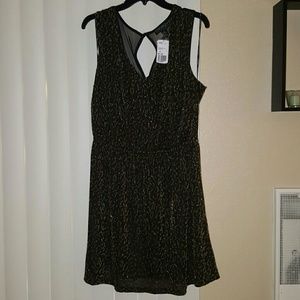 F21 Skater Dress