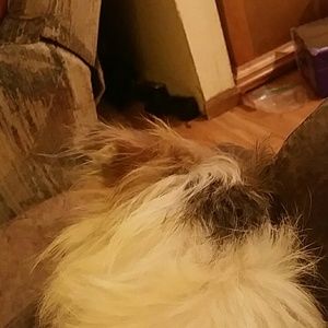 Meet your Posher, Melinda