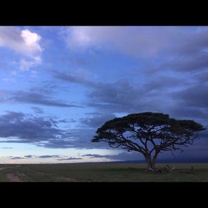 Meet your Posher, Kyra