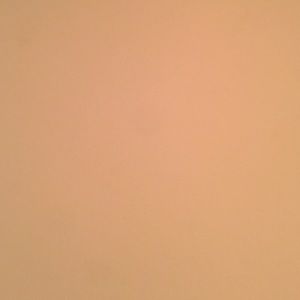 Meet your Posher, Addisson