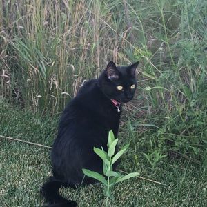 Meet your Posher, Ava