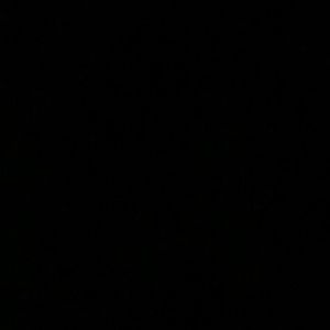 Meet your Posher, Berenice