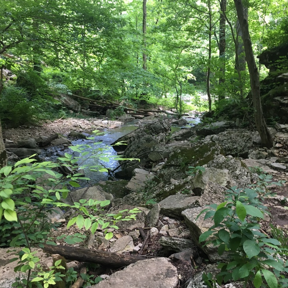 Meet your Posher, Susan