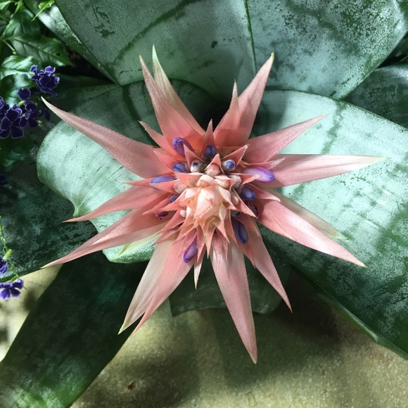 Meet your Posher, Eriana