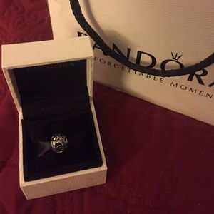 Pandora Fantasia charm