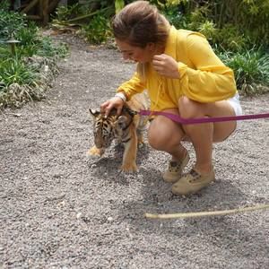 Meet your Posher, Maribel