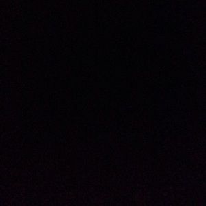 Meet your Posher, Arielle