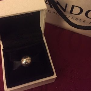 Pandora Disneyland Charm