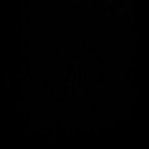 Meet your Posher, Sky