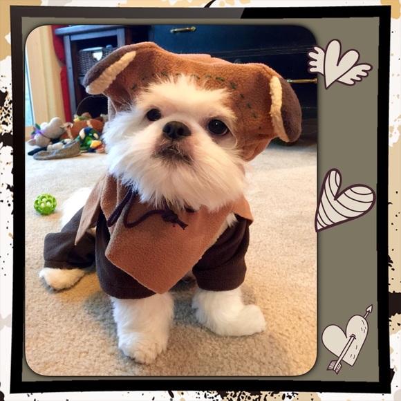 Hi, nice to meet ya! Yay, I have 43,000 followers! - Picture 4 of 4