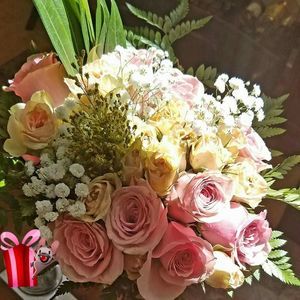 Meet your Posher, Maria