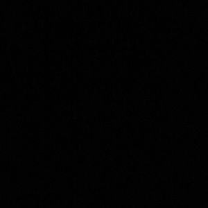 Meet your Posher, Angelina