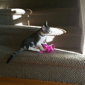 Meet your Posher, Beth