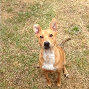 Meet your Posher, Liam