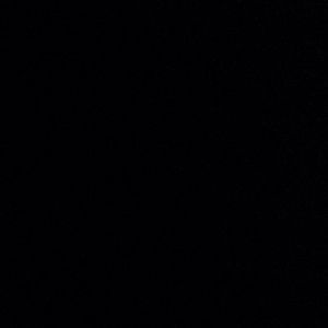 Meet your Posher, Taijah