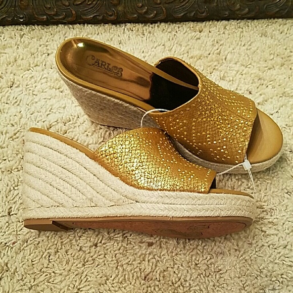 $$ Final price! Nwot beautiful wedges $$