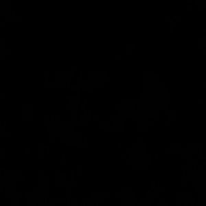 Meet your Posher, Jayla