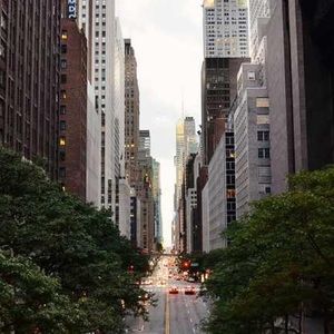 Meet your Posher, Tomekia