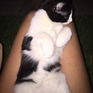 Meet your Posher, Athena