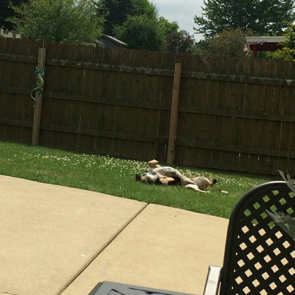 Meet your Posher, Tianna