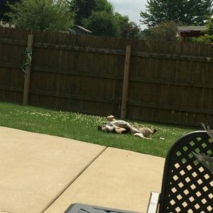 Meet your Posher, Tianna