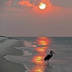 Meet your Posher, Tamara