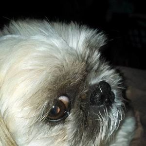 Meet your Posher, Felicia