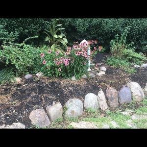 Meet your Posher, Lilly