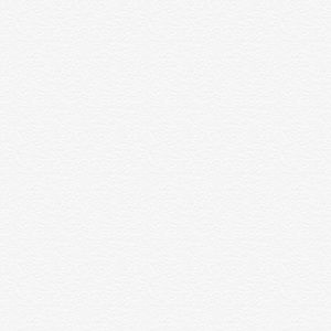 Meet your Posher, Allan