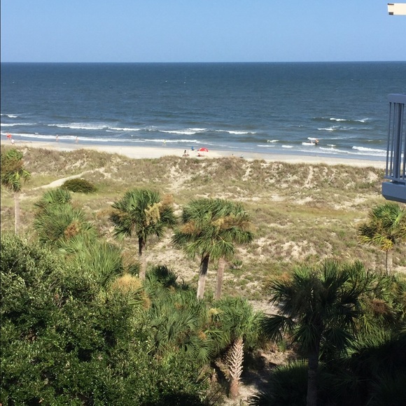 Meet your Posher, Courtney - Picture 1 of 1