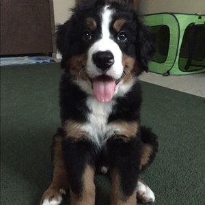 Meet your Posher, Kara