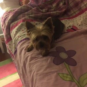 Meet your Posher, Rita