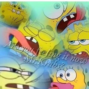 Meet your Posher, Kenny