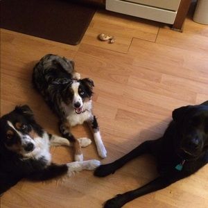 Meet your Posher, Raeann