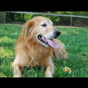 Meet your Posher, Kristen