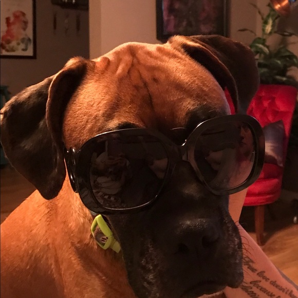 Meet your Posher, Jessica - Picture 4 of 8