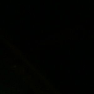 Meet your Posher, Lizbeth