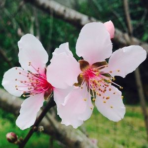 Meet your Posher, Gwendolyn