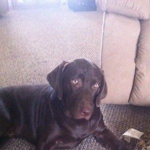 Meet your Posher, Carole