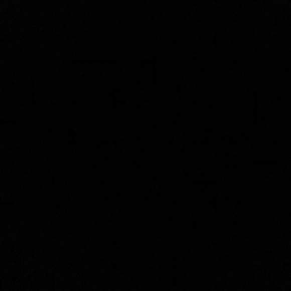 Meet your Posher, Jasmine - Picture 1 of 1