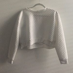 White crop top sweater