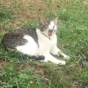 Meet your Posher, Jamie