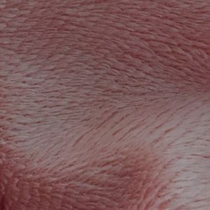 Meet your Posher, Allyson