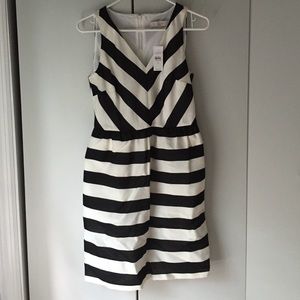 LOFT black and cream chevron dress.