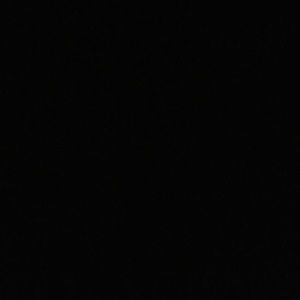 Meet your Posher, Rylee