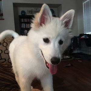 Meet your Posher, Christy