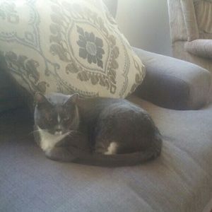 Meet your Posher, Margaret