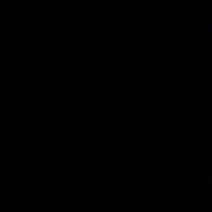 Meet your Posher, Angelique