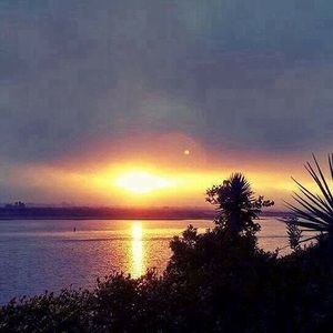 Meet your Posher, Rachael